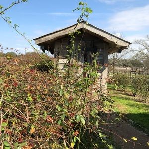 Meet your Posher, Bart